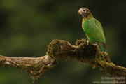 COSTA RICA